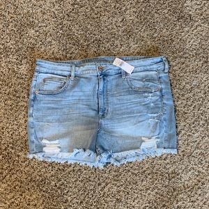 American Eagle + shorts + lightwash + Sz 18